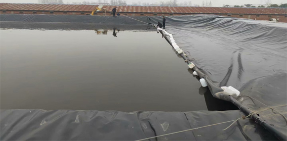 魚塘采用HDPE防滲土工膜會(huì)有很多優(yōu)勢